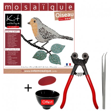 Pack mosaïque Oiseau comprenant le kit mosaïque Oiseau et le kit outils mosaïque complet Loisirs